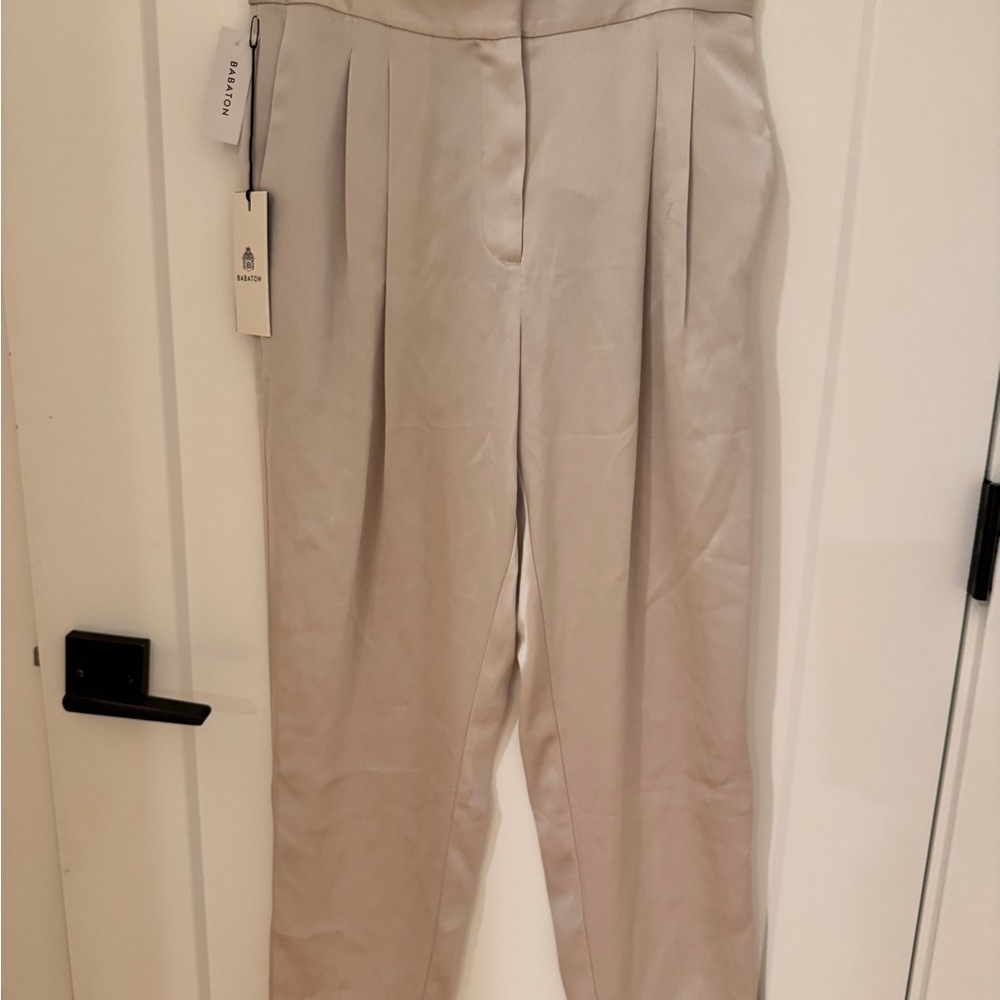Aritzia Silk Pleated Women's Pants